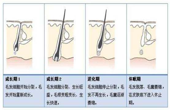 脫毛后又長,你是不是沒有用對方法(圖2) 脫毛后又長,你是不是沒有用對方法(圖2)