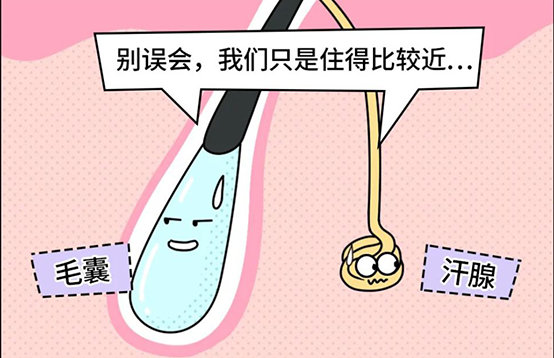 脫毛不徹底,毛毛的生命力到底有多頑強(qiáng)?(圖4) 脫毛不徹底,毛毛的生命力到底有多頑強(qiáng)?(圖4)